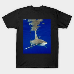 Oceanic White Tip Shark and Surface Reflections T-Shirt